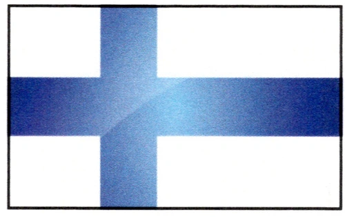 2025 Prune Tarts Flag